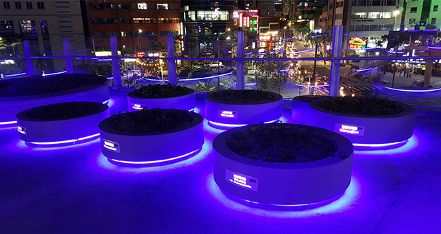 ���� �����̵�