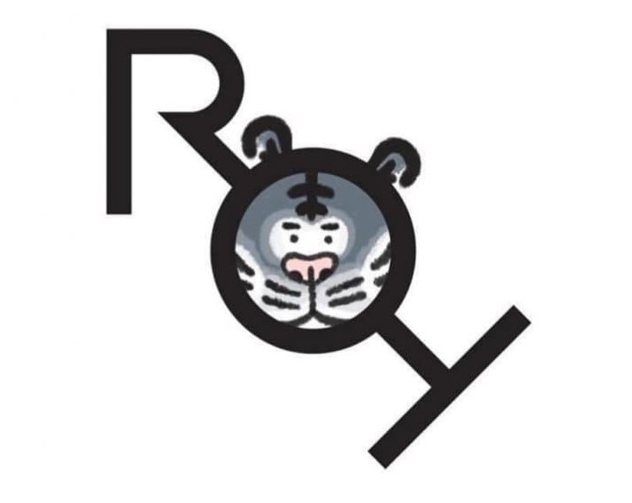  ̹
